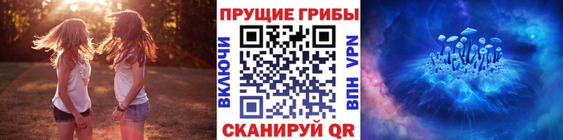 наркотики  Невинномысск  blacksprut ССЫЛКА  Псилоцибиновые грибы Psilocybine cubensis 