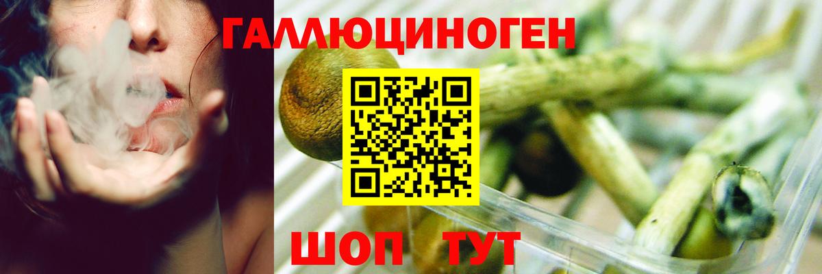 Псилоцибиновые грибы Psilocybe  Псилоцибиновые грибы ЛСД  Невинномысск  Вход с VPN 